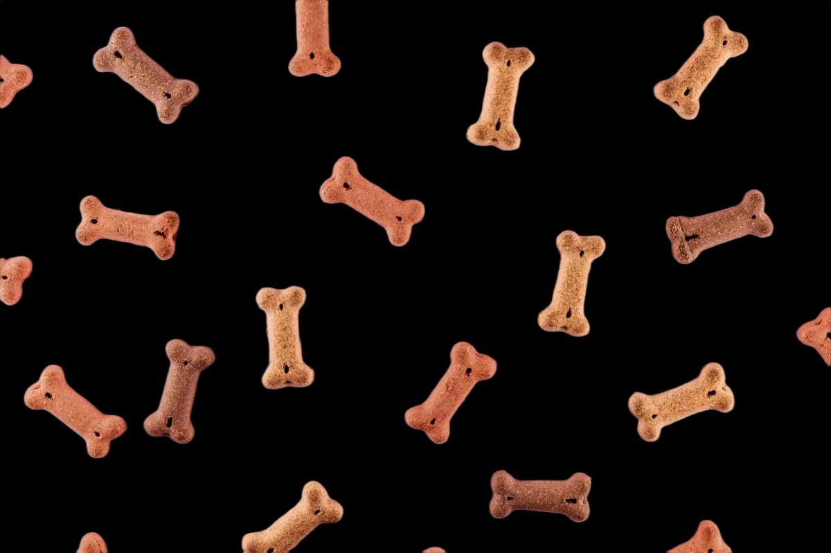 Best dog food for sensitive stomachs